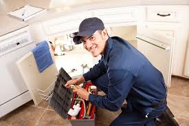 Best 24/7 Emergency Plumbing Services  in Nellysford, VA